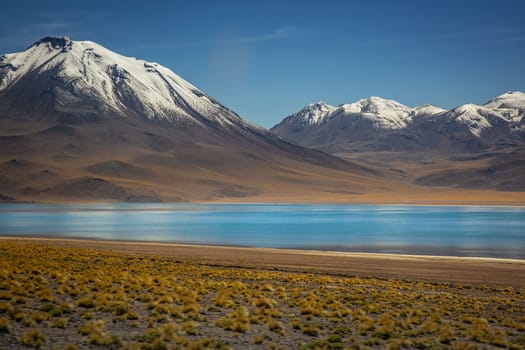 Salt lake Laguna Miscanti, and idyllic volcanic landscape at sunrise, Atacama desert, Chile border with Bolivia