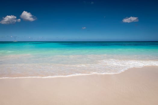 Tropical beach in caribbean sea, idyllic Saona island, Punta Cana, Dominican Republic