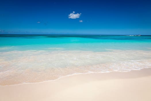 Tropical beach in caribbean sea, idyllic Saona island, Punta Cana, Dominican Republic