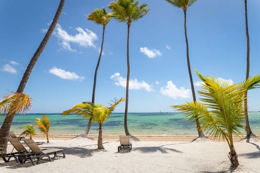 Tropical beach in caribbean sea, idyllic Saona island, Punta Cana, Dominican Republic