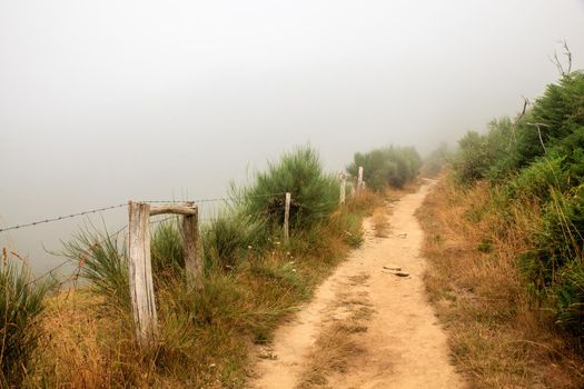 View of Galicia path along the way of St. James