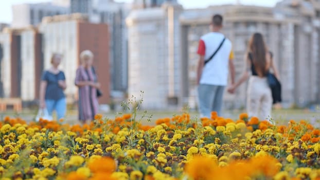 People stroll through the city among the flower beds