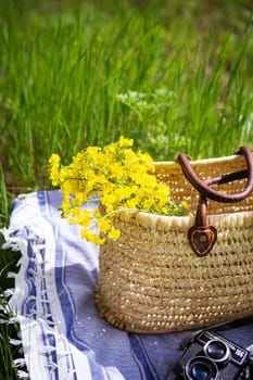 A straw picnic basket stands on a blue blanket on green grass along with a bouquet of yellow flowers. In the background is an old camera with the name Lover 166 written on it