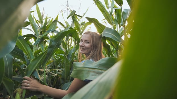 A girl walks through a corn field