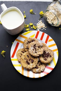 Oatmeal cookies with chocolate on a plate with colorful cup milk