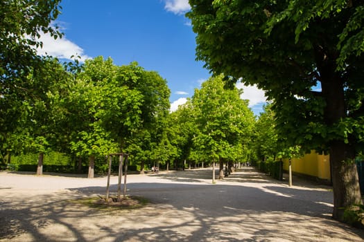 A beautiful sunny day at the famous Schonbrunn Park Palace in Vienna