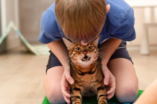 People. Health concept. A boy and a domestic red beautiful leopard bengal cat go in for sports on a massage orthopedic multi-colored rug in the home interior. Treatment of flat feet. Close-up. Physical training.