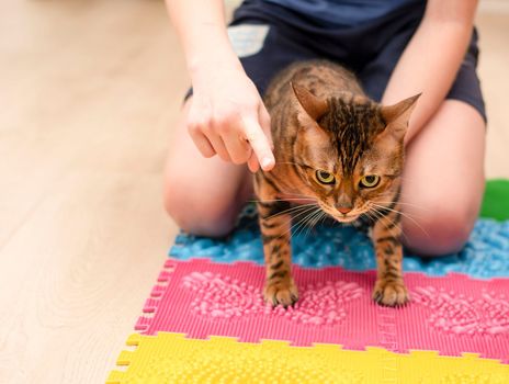 People. Health concept. A boy and a domestic red beautiful leopard bengal cat go in for sports on a massage orthopedic multi-colored rug in the home interior. Treatment of flat feet. Close-up. Physical training.