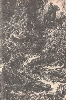 Black and white illustration shows a man on horseback in a jungle full of crocodiles. Drawing shows a South American rainforest. Vintage black and white picture shows adventure life in the previous century. Life in the 19th century.