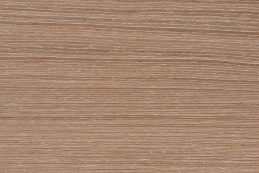 Natural oak texture. Wood texture. Oak board for furniture production. Untreated plank of young oak with fine texture in light color.