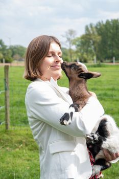 Young woman plays with goat kids, feeding them, sun shining over farm in background, High quality photo