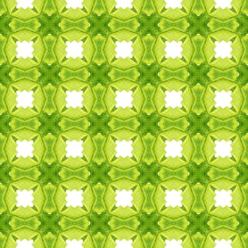 Mosaic seamless pattern. Green sublime boho chic summer design. Hand drawn green mosaic seamless border. Textile ready curious print, swimwear fabric, wallpaper, wrapping.