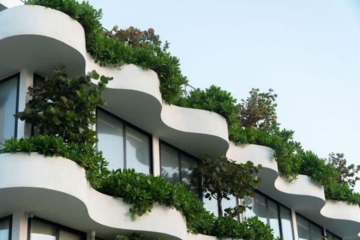 Plants and trees on the balcony of the building, landscaping and gardening. High quality photo