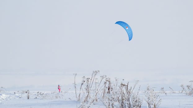 people kiting in winter in snowy terrain. snowkiting.