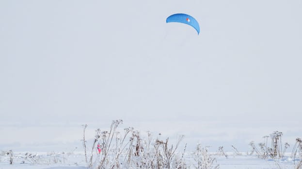 people kiting in winter in snowy terrain. snowkiting.