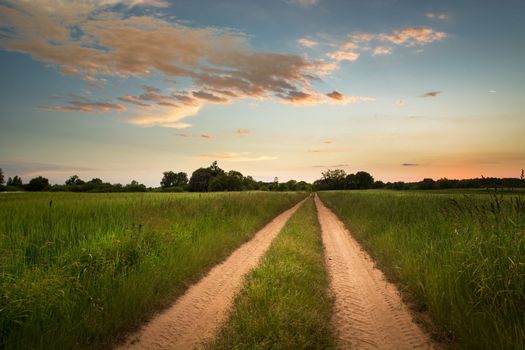 Sandy road through green fields and cloud on the evening sky