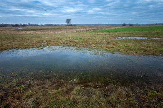 Water puddle in the meadow and cloudy sky