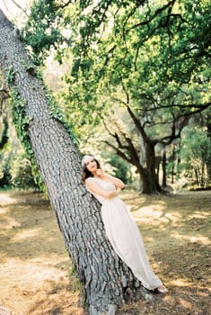 Bride leaned against a sloped tree in the park. High quality photo