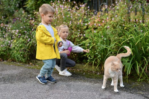 Brother and sister play with a cat in the garden