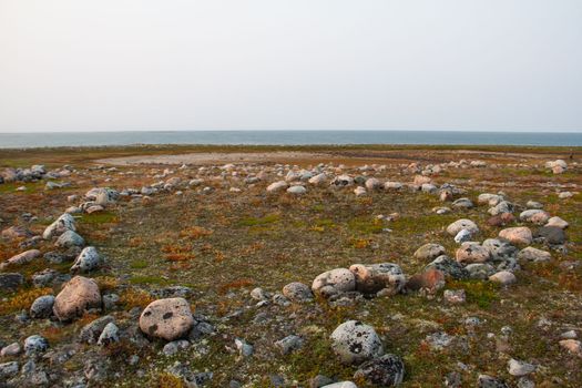 Remains of several Inuit tent rings along the coast of Hudson Bay north of Arviat at a place called Qikiqtarjuq, Nunavut, Canada