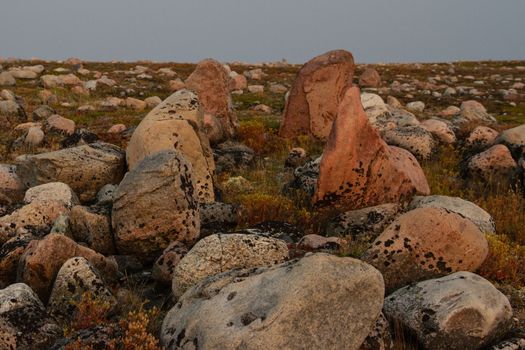 Remains of an old kayak stand along the coast of Hudson Bay north of Arviat at a place called Qikiqtarjuq, Nunavut, Canada