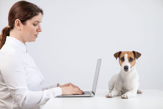 Caucasian woman working on laptop with jack russell terrier dog on table