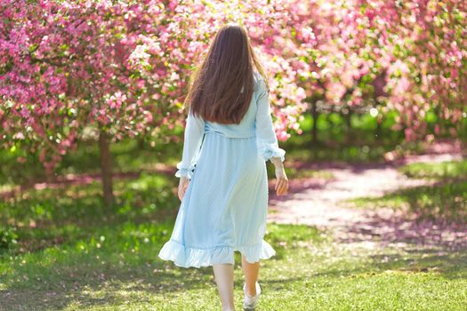 a brunette girl with long hair, walking in a blue dress through a pink blooming garden, rear view. Copy space