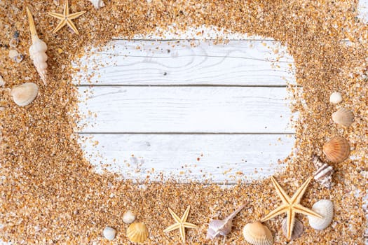 Sand seashells background. Summer time concept with sea shells and starfish on wooden background and sand.