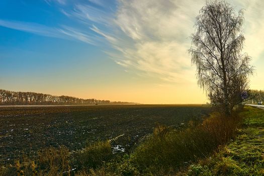 an area of open land, especially one planted with crops or pasture, typically bounded by hedges or fences.