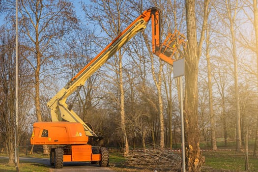 Seasonal tree pruning with a lifting work platform of car crane. Cutting branches in park. Italy