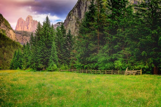 Tre Cime Di Lavaredo and alpine meadows at springtime sunrise, Dolomites, Italian alps