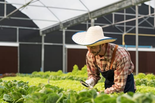 Farmer checking quality by tablet agriculture modern technology. Concept using modern technologies in agriculture