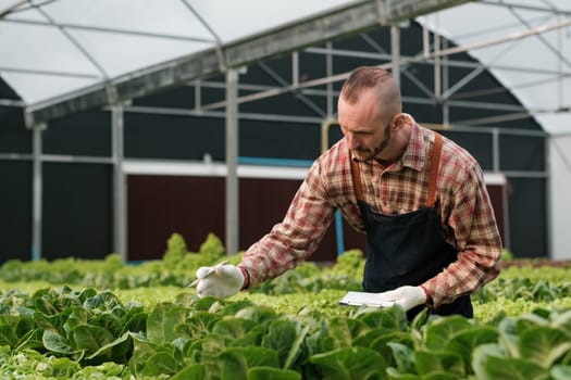 Farmer checking quality by tablet agriculture modern technology. Concept using modern technologies in agriculture