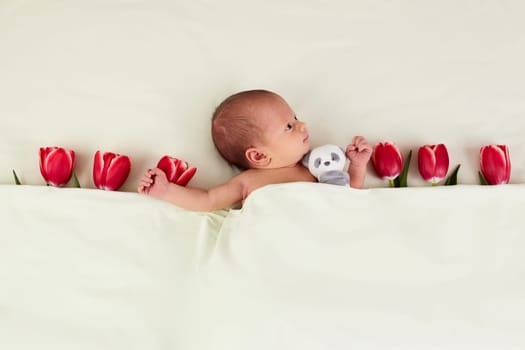 cute newborn baby with red tulips and teddy bear toy under blanket