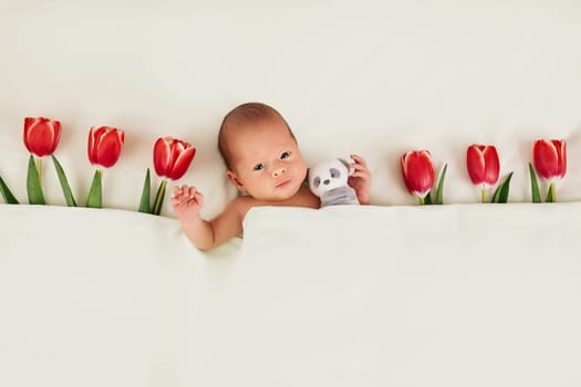 cute newborn baby with red tulips and teddy bear toy under blanket