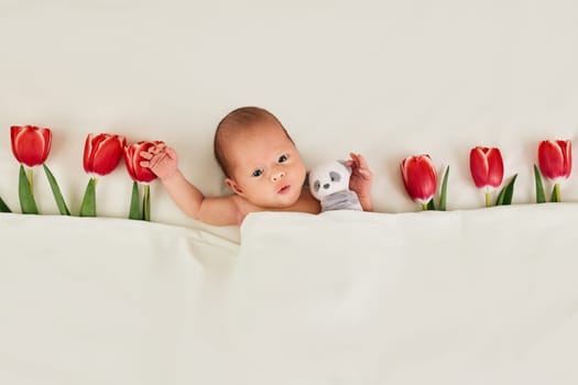 cute newborn baby with red tulips and teddy bear toy under blanket