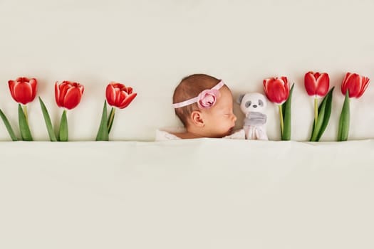 cute newborn baby with red tulips and teddy bear toy under blanket