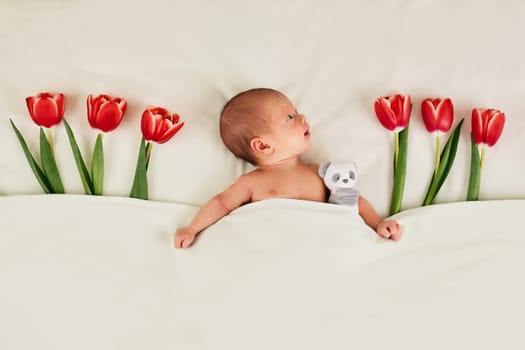 cute newborn baby with red tulips and teddy bear toy under blanket