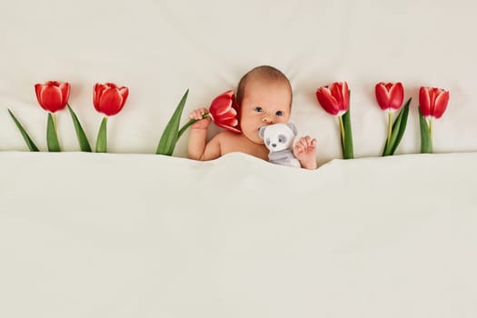 cute newborn baby with red tulips and teddy bear toy under blanket