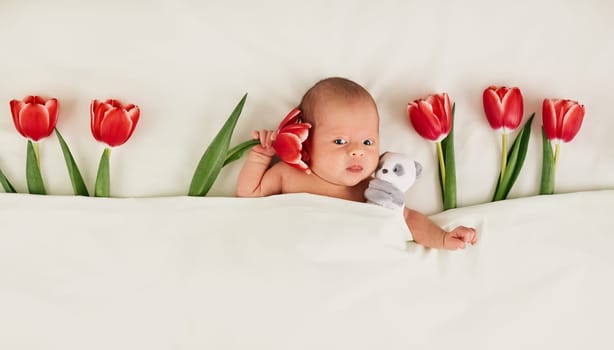 cute newborn baby with red tulips and teddy bear toy under blanket