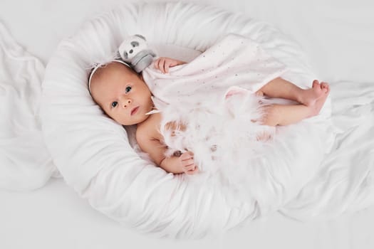 sweet newborn baby sleeping with teddy bear toy on white background