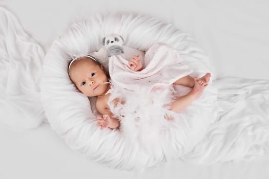 sweet newborn baby sleeping with teddy bear toy on white background