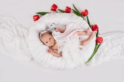 sweet newborn baby in dress with feathers in white nest and red tulips