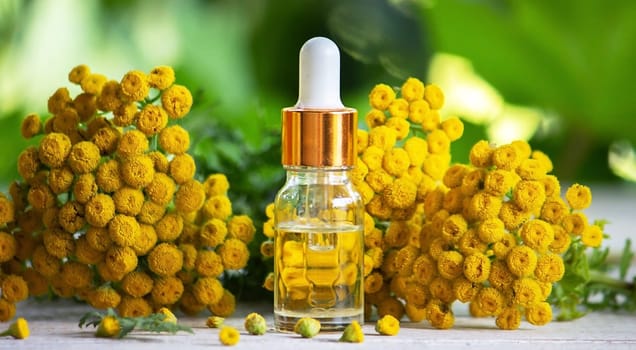 essential oil from the immortelle plant. nature selective focus