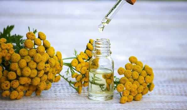 essential oil from the immortelle plant. nature selective focus