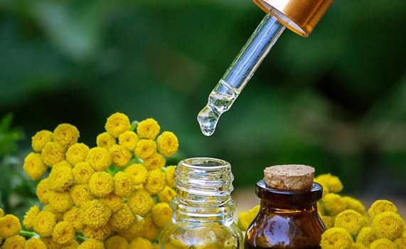 essential oil from the immortelle plant. nature selective focus