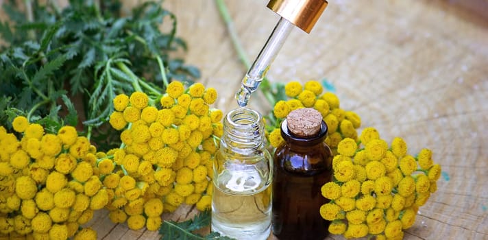 essential oil from the immortelle plant. nature selective focus