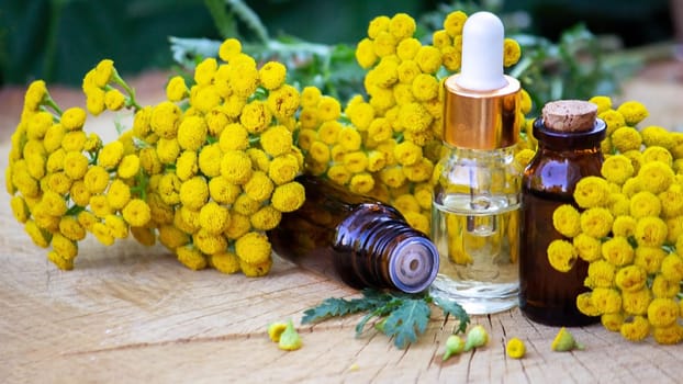 essential oil from the immortelle plant. nature selective focus