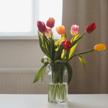 Beautiful fresh tulips bouquet in glass vase on table in warm sunset sun lights against window in cozy home interior. Blooming flowers decoration in living room provence style.