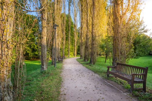 Alley with trees in a row, treptower park at autumn sunset, Berlin, Germany